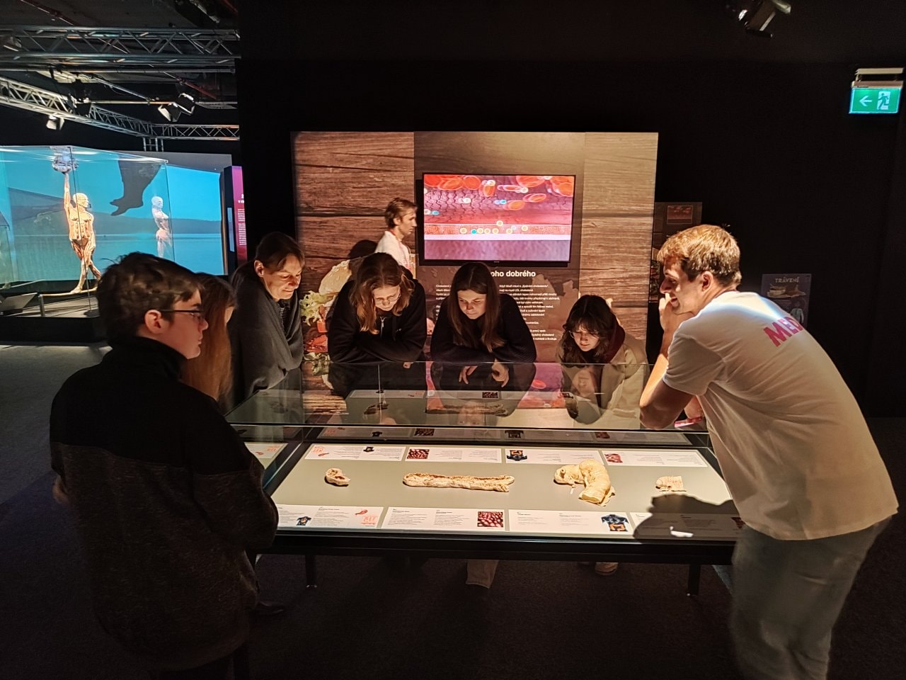 1765877855_1765877849378