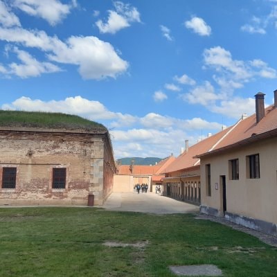 image-2009